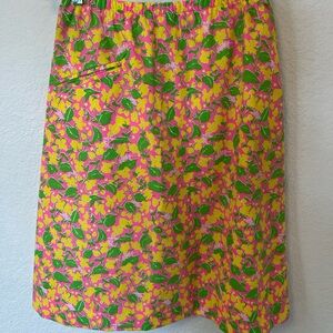 Vintage Lilly Pulitzer Skirt SZ 10